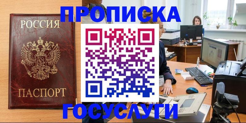 где прописаться в Шали